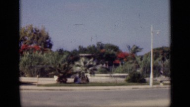 1946: people sitting and walking enjoying beautiful garden. EGYPT
