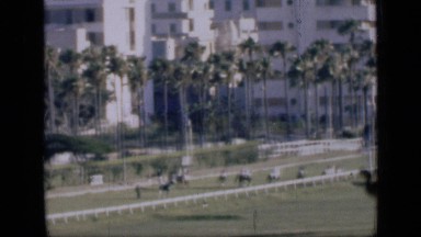 1946: horse riding EGYPT