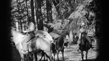 1937: woman and man ride dark and light horses through forest clearing