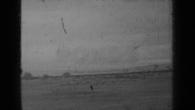 1937: flock of birds flying KLAMATH CALIFORNIA