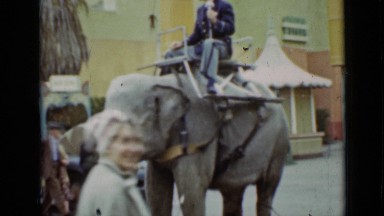 1937: guides stand between trams carrying visitors and guide riding elephant