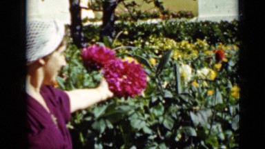 1937: happy woman showing big flower SAN FRANCISCO