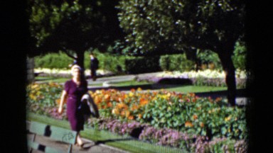 1937: woman in purple dress strolls next to flower bed in public garden