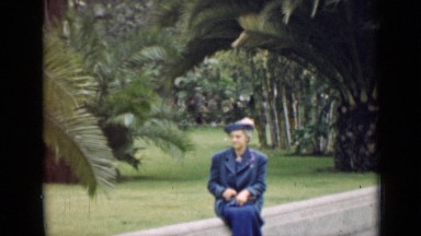 1939: park where people are resting, palm tree