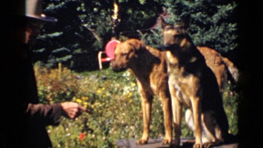 1939: the beautiful view of nature COLORADO