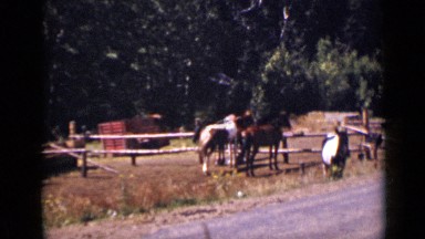 1939: the horse is standing in horse parking space COLORADO