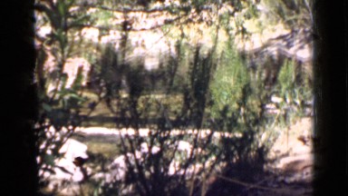 1939: woman posing for picture, standing on wooden bridge. UTAH