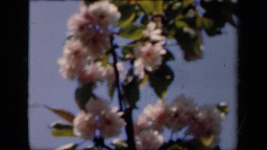 1941: magnificent mansion near small lake with sparkling waters NEW YORK