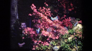 1941: people posing for snap behind blossomed plants NEW YORK