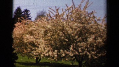 1943: recently recovered footage from 80's. SKYLINE DRIVE VIRGINIA
