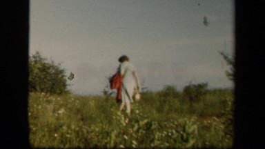 1943: people walking in forest SKYLINE DRIVE VIRGINIA