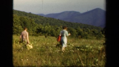 1943: couple walking through field of blossomed plants in valley SKYLINE DRIVE