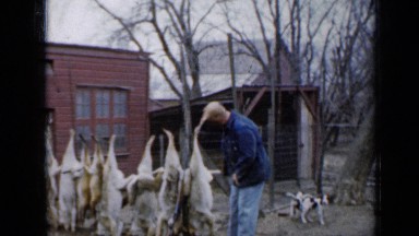 1958: goat meat hanging MINNESOTA