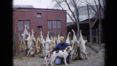 1958: fox hunting dog family MINNESOTA