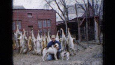 1958: Man Playing with German Shepherd and Family Dogs in Minnesota