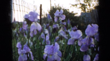 1958: beautiful view of nature MINNESOTA