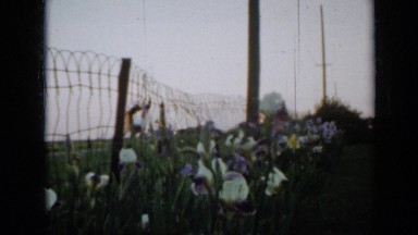 1958: two cute girl children enjoying beauty of flowers in meadow MINNESOTA