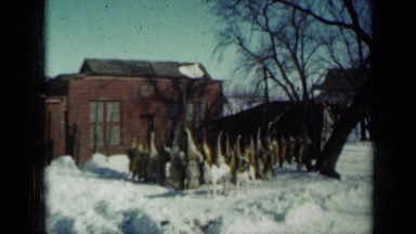 1958: mammals are suffering in wonderful white snow land MINNESOTA