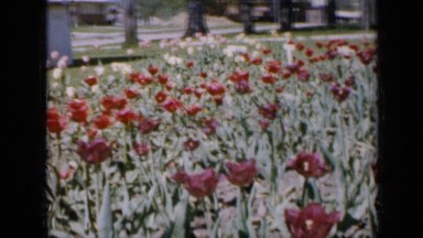 1959: people gathered around stage IOWA