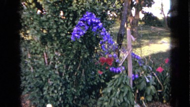 1959: the beautiful flowers, plants in park IOWA