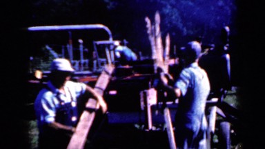 1959: the traditional method of cutting trees IOWA