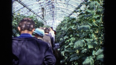1971: peoples are watching and enjoying beautiful gardens MOSCOW RUSSIA