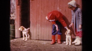 1964: Children Playing with Puppies in Kansas Backyard