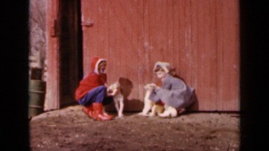 1964: the children are playing with dogs in open space KANSAS