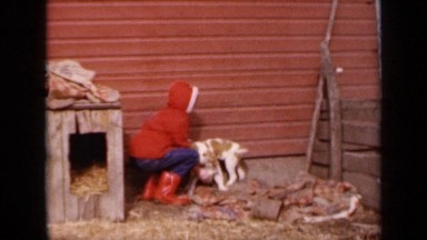1964: boy playing with his two puppies with happily near to his house KANSAS