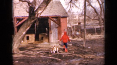1964: the child play with her beautiful animals on street side KANSAS