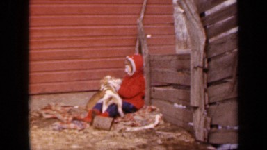 1964: two puppies playing with boy wearing red sweater KANSAS