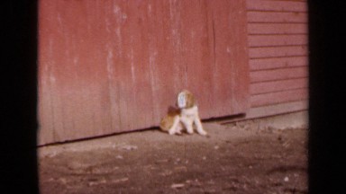 1964: two girls shows love towards puppy KANSAS