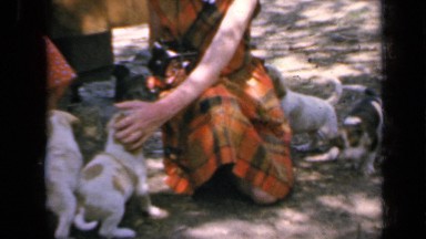 1964: the cute girls are playing with dogs KANSAS