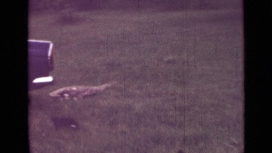 1967: Small Car Parked Over Ditch with Man Working on It Underneath