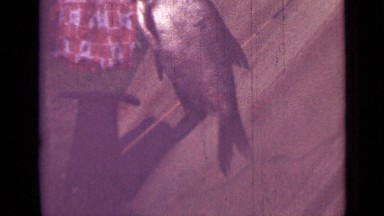 1967: fish shop RUSSIA