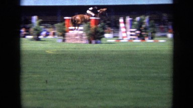 1963: the beautiful view with animals LONDON ENGLAND