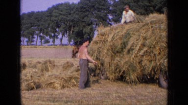 1963: two men baling hay in hot sun, with horse pulling cart in front. RUSSIA