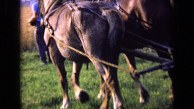 1963: farmer takes his horses and plow toward the field. RUSSIA