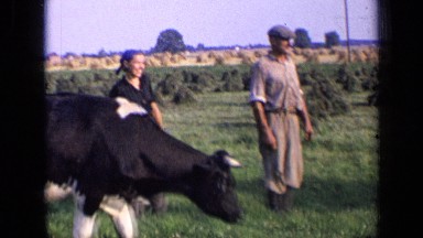 1963: two white men and white woman stand next to black and white cow