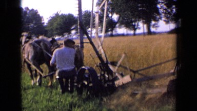 1963: man harvesting wheat field with horse drawn combine. RUSSIA