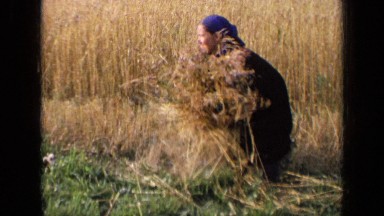 1963: couple working during harvest. RUSSIA