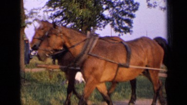 1963: family traveling on dirt road in charming, horse drawn buggy RUSSIA