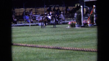 1963: person is riding in horse cart around stadium during morning time ENGLAND