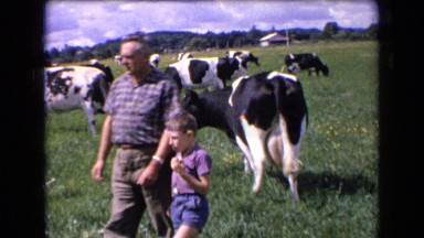 1963: family in field with cows FRANCE