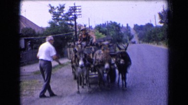 1963: an old man caress donkey pulling cart on roadside FRANCE