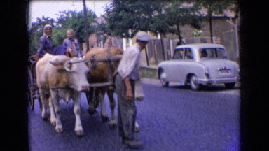1963: two bull with chariot and women sitting on it going on road FRANCE