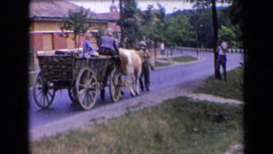 1963: women and child are in wagon being pulled by couple of cows FRANCE