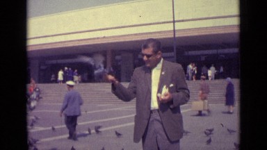1962: the birds are sitting in man's hand VENICE ITALY