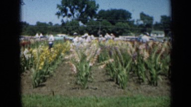 1961: people gathered in park MISSOURI