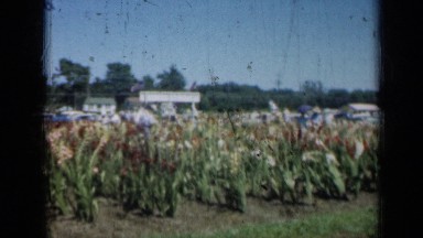 1961: car show MISSOURI